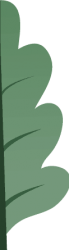Homepage_Leave_1_1_right Homepage_Leave_1_1_right