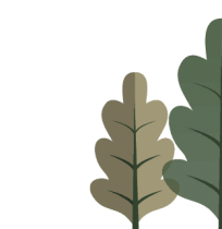 homepage__to dasos_elements-19_decorative leaves_left homepage__to dasos_elements-19_decorative leaves_left